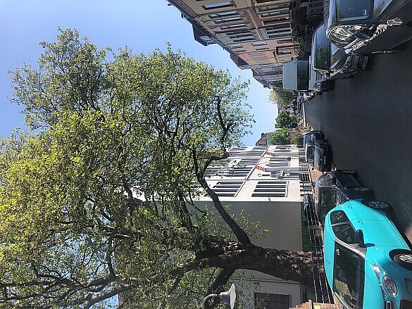 Schule an der Oderstraße mit Baum