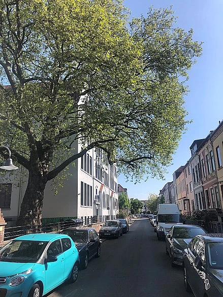 Schule an der Oderstraße mit Baum